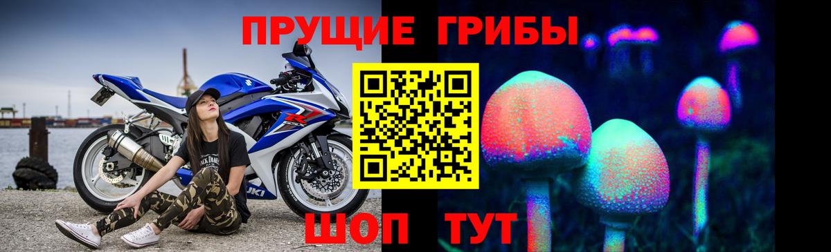 Псилоцибиновые грибы прущие грибы Шуя
